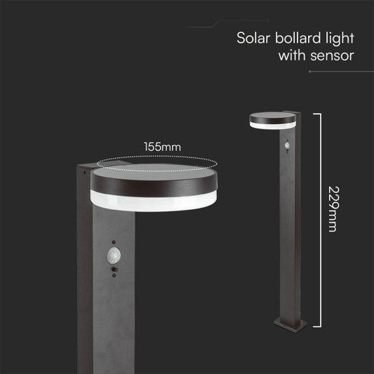 Dettaglio dimensioni della Piantana Solare LED 5.5W con Sensore PIR IP54, ideale per vialetti e percorsi esterni in giardini residenziali.