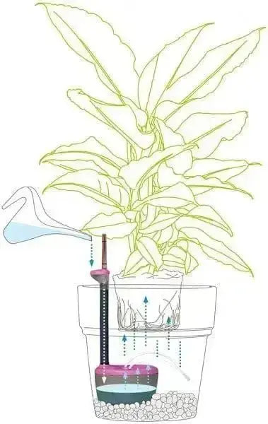 Schema illustrativo del funzionamento di ACQUAFLORA MINI 0,7LT X VASI 25/35, sistema di irrigazione interna per piante in vaso con serbatoio e sensore.