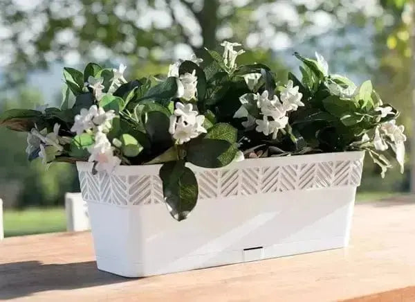 Balconetta orfeo cm.30 diversi colori Vasi e fioriere STEFANPLAST VERDE