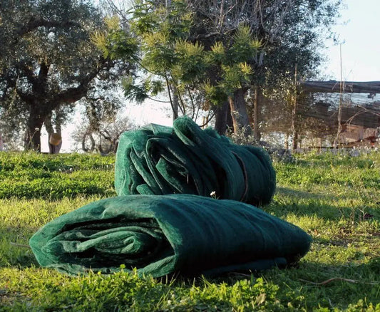 Rete antispina olive occhiellata Reti per olive GREEN LIGHT