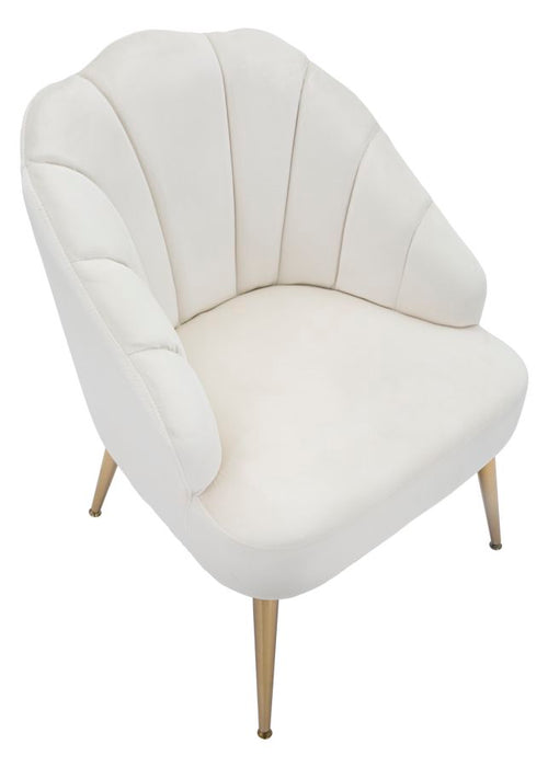 Poltrona Shell Velluto Crema Elegante 65x69x84