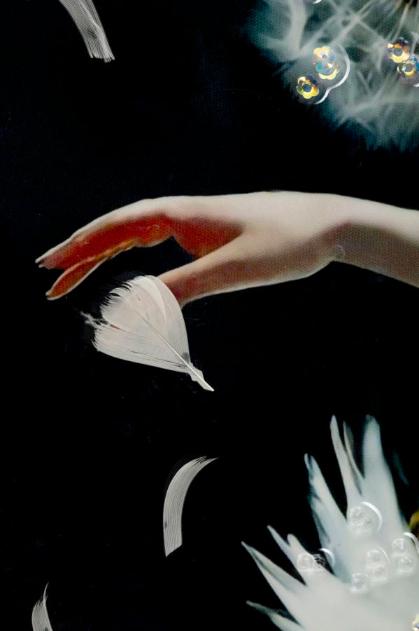 Primo piano della mano della ballerina che sfiora un petalo nel dipinto su tela laccato Dancing C/Cornice -B- 72x4x102, decorazione artistica.
