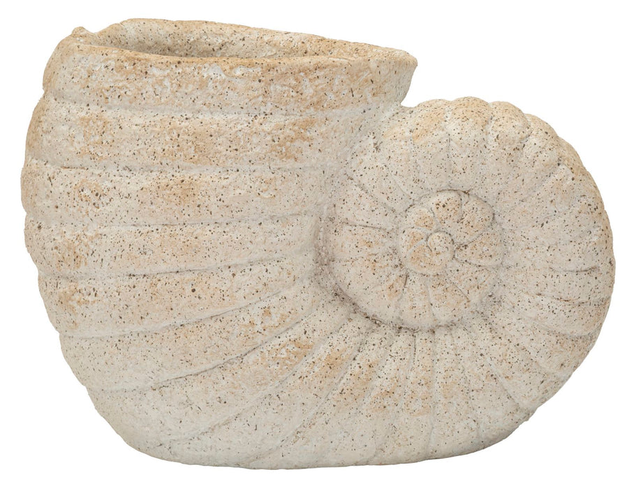 Vaso A Forma Di Conchiglia Sabbiato Ispirato Al Mare Apertura 13 Cm Dimensioni 33 X 19 X 23 Cm