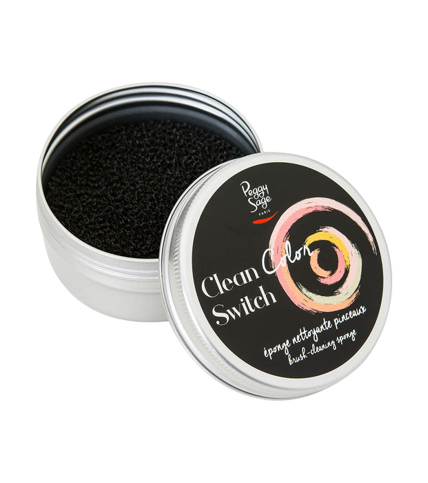 PEGGY SAGE  SPUGNETTA DETERGENTE PENNELLI CLEAN COLOR SWITCH