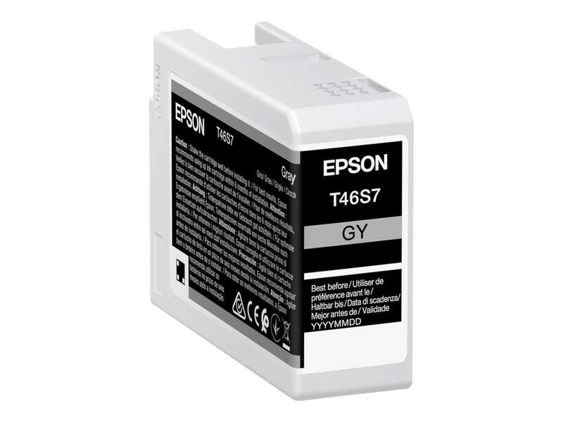 Epson T46S7 Grigio Cartuccia d'Inchiostro Originale - C13T46S700