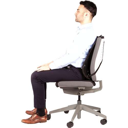 Fellowes Mesh Office Suites Cuscino Lombare - Materiale in Rete - Regolabile a Qualsiasi Sedia - Colore Nero
