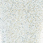 PEGGY SAGE  I-LAK SOAK OFF GEL POLISH DIAMOND SKY  - 11ML