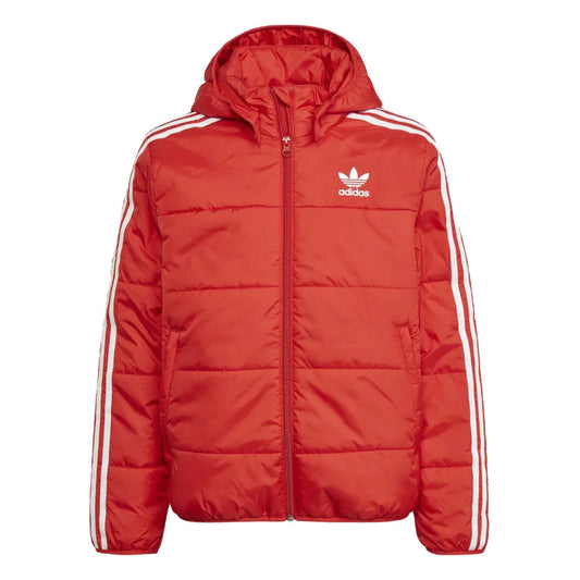 Adidas padded jacket HK0387