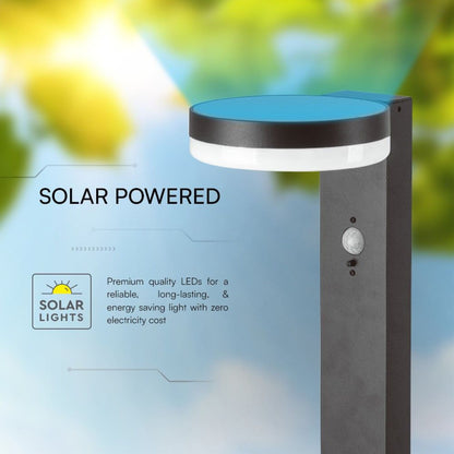 Piantana Solare LED 5.5W con pannello solare integrato, luce calda 3000K e sensore PIR per illuminazione da giardino a energia solare.