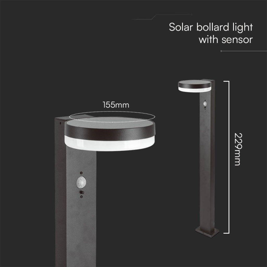 Dettaglio dimensioni della Piantana Solare LED 5.5W con Sensore PIR IP54, ideale per vialetti e percorsi esterni in giardini residenziali.