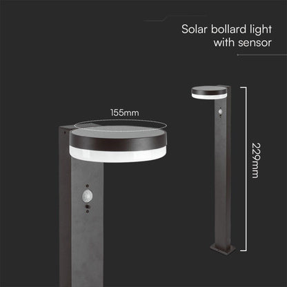 Dettaglio dimensioni della Piantana Solare LED 5.5W con Sensore PIR IP54, ideale per vialetti e percorsi esterni in giardini residenziali.