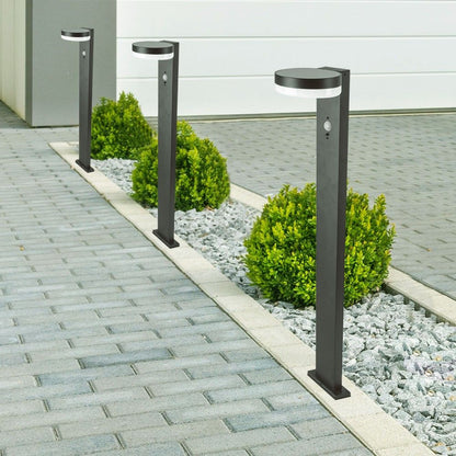 Installazione della Piantana Solare LED 5.5W con Sensore PIR IP54 lungo un vialetto, perfetta per l'illuminazione da giardino elegante e funzionale.