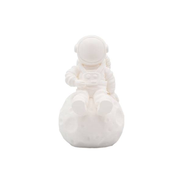 Filamento 3D PLA - Diametro 1.75mm - Bobina 2.5kg - Colore Bianco