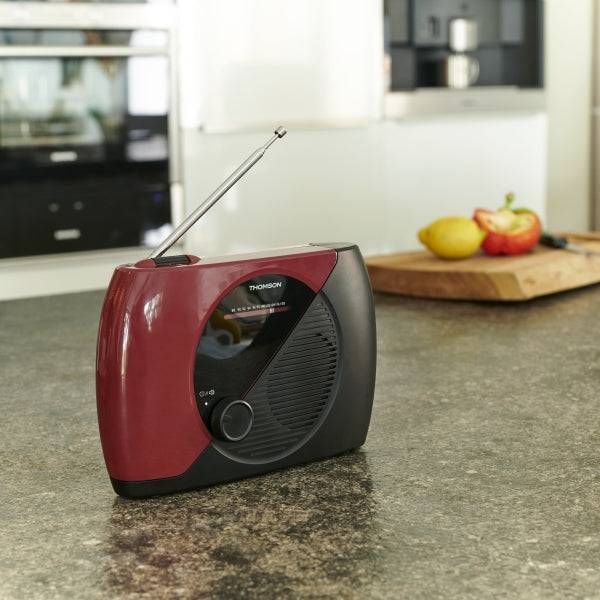 Thomson RT353 Radio FM Portatile - Colore Grana/Nero