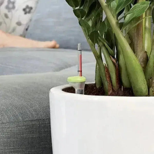 Sistema di irrigazione ACQUAFLORA MINI 0,7LT X VASI 25/35 installato in un vaso da interno, ideale per mantenere l'umidità costante delle piante.