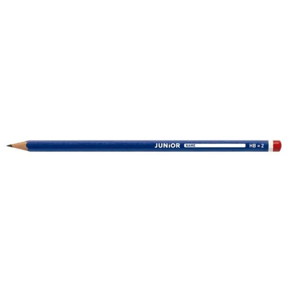 Alpino Junior Confezione di 144 Matite di Grafite HB con Cappellini - Spazio per il Nome