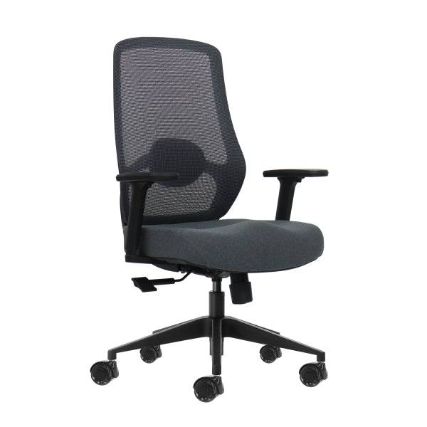 Oqonos Cherg 025 Sedia Ufficio Ergonomica con Supporto Lombare Regolabile in Altezza e Profondità, Braccioli 4D, Pistone Gas Classe 4, Seduta Ergonomica Sagomata e Ruote Silicone - Grigio con Struttura Nera