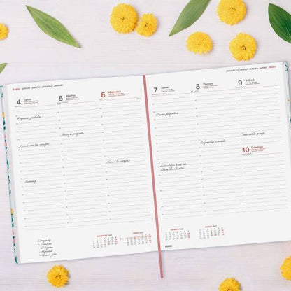 Finocam Dynamic Berlin Trigo Agenda Professionale - Annuale 2027 - Visualizzazione Settimanale Verticale - 210x270mm - Elastico - Copertina Rigida Imbottita - Angoli Microforati - Carta da 80g/m2 - Multicolore