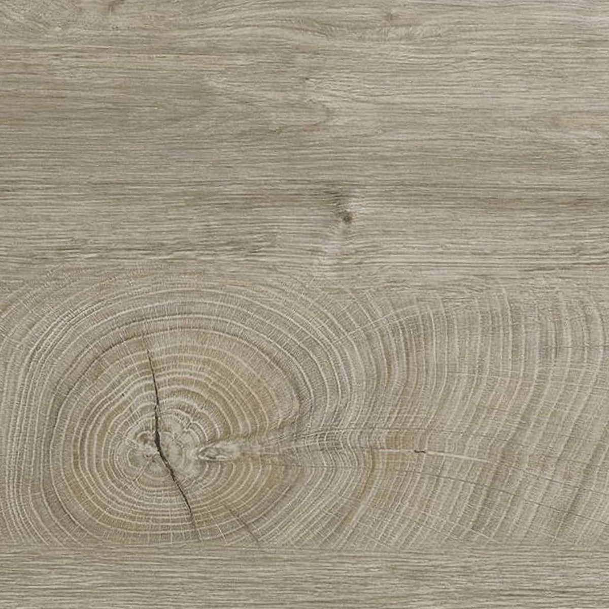Dettaglio del pannello in Rovere Alaska dell'armadio, con venature naturali e finitura elegante.