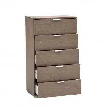 Cassettiera 5 Cassetti Rovere Grigio - Dimensioni: cm 60 x 38 x 103 h Cassettiere Hobby Shop Solution   