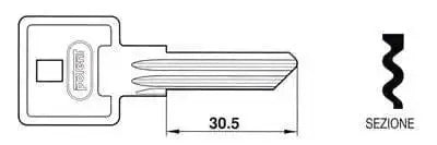 Chiave Potent per lucchetto acciaio modello LUCPO2950, lunghezza 30.5 mm, profilo dentato visibile in sezione laterale.