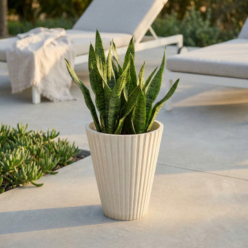 Vaso cilindrico in fibra sintetica, diametro 29 cm, altezza 36 cm