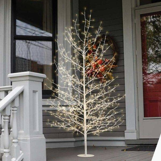 Albero di Tiglio con Micro Led Bianco Caldo su veranda