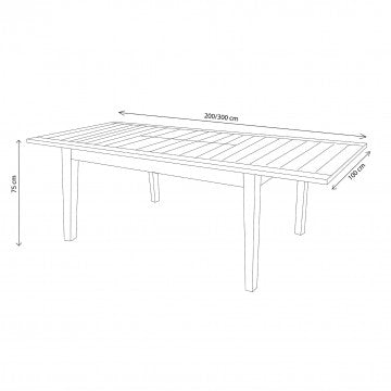 Tavolo allungabile in teak massello 220/300 x 100 cm, altezza 75 cm