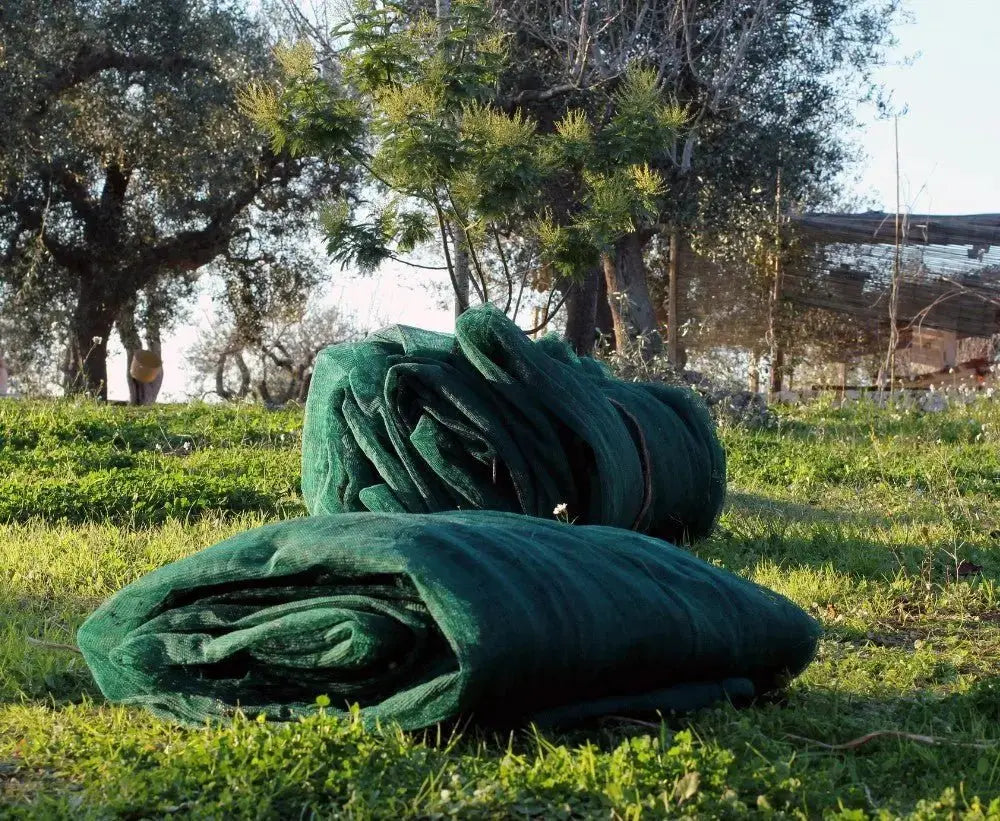 Rete antispina olive occhiellata Reti per olive GREEN LIGHT   