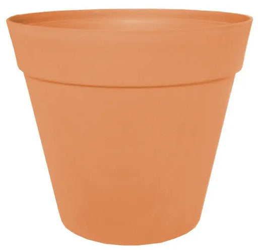 6 Mini Vasi Per Succulente A Forma Di Gufo In Ceramica – ROSE CREATE 2,5 Pollici - Foto 2