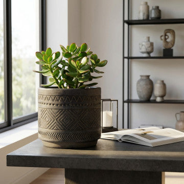 Vaso Melissa in fibra sintetica antracite 15,3 x 15,3 x 14 cm