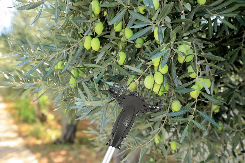 Scuotitore Olive Volpi Super Power XL con Asta Telescopica 2,4–3,6 m