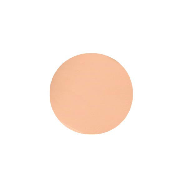 MAX FACTOR LASTING PERFORMANCE FONDOTINTA PASTELLE 102