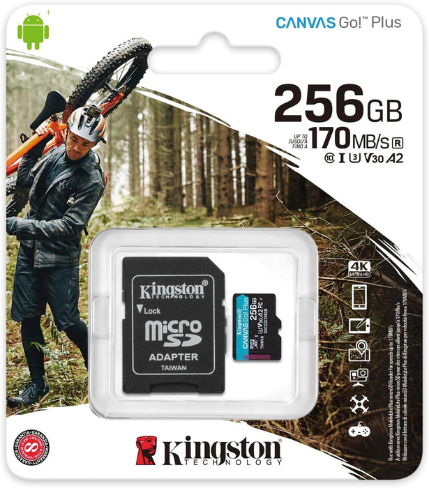 Scheda Micro SD 256GB con Adattatore Canvas Plus CL10