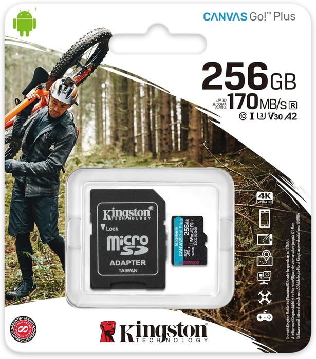 Scheda Micro SD 256GB con Adattatore Canvas Plus CL10