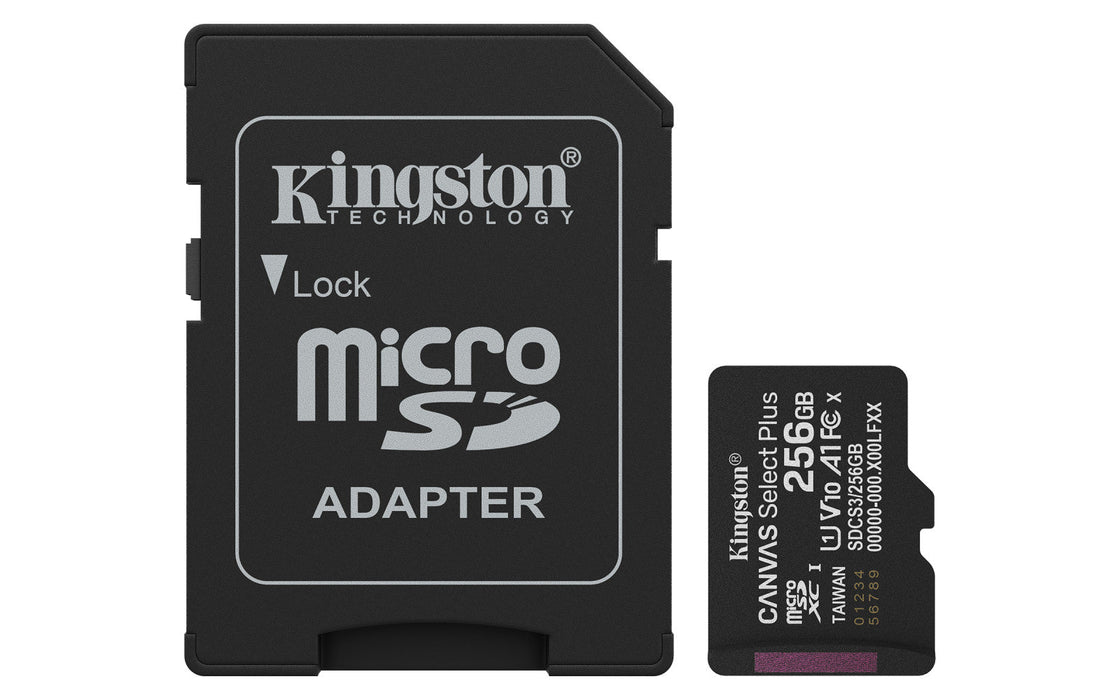 Scheda Micro SD 256GB con Adattatore Canvas Plus CL10